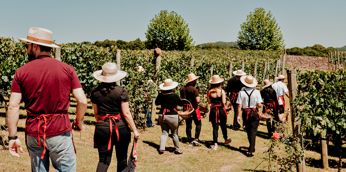 Com experiências diferenciadas, empreendimentos do Vale dos Vinhedos fortalecem movimentação turística