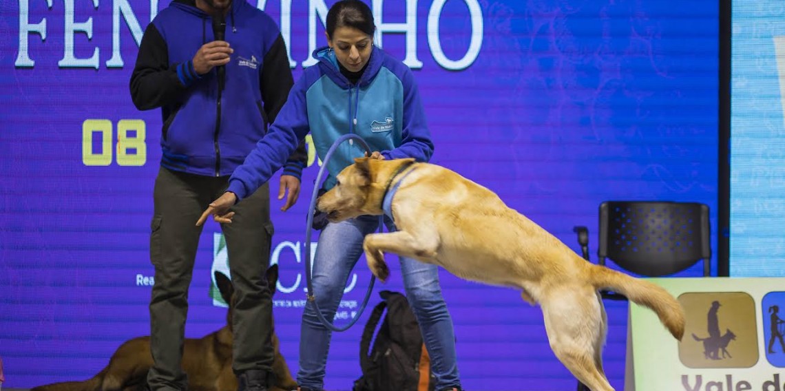 Desfile Pet ocorre dia 16 de julho na 32ª ExpoBento