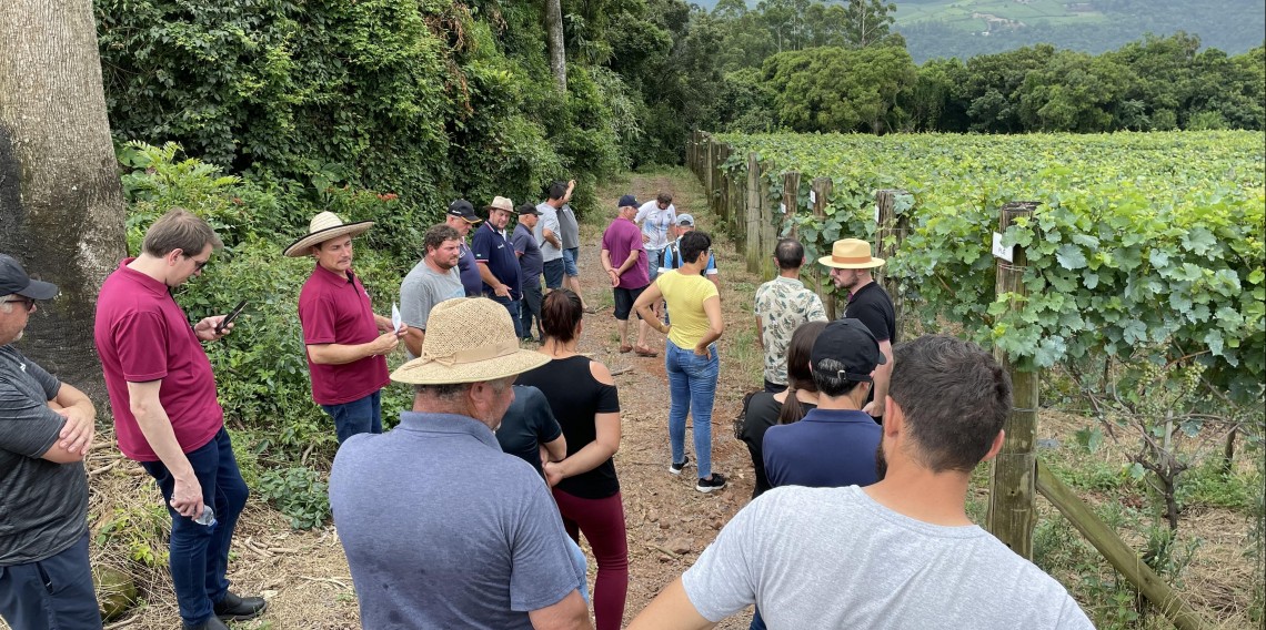 Visitação aos parreirais