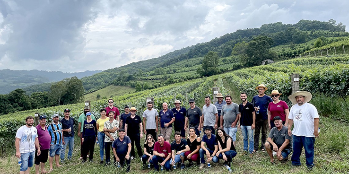 Grupo de cooperados da Cooperativa Vinícola Garibaldi conheceu o vinhedo experimental na Serra gaúcha 