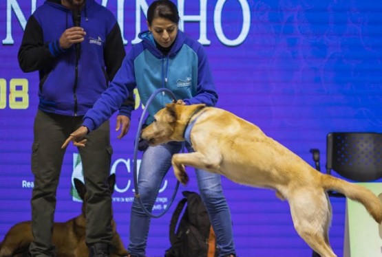 Desfile Pet ocorre dia 16 de julho na 32ª ExpoBento