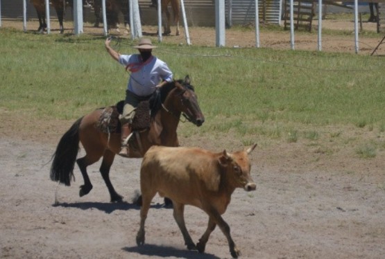 Rodeio acontece no CTG neste final de semana