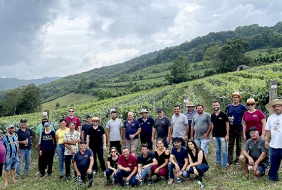 Grupo de cooperados da Cooperativa Vinícola Garibaldi conheceu o vinhedo experimental na Serra gaúcha 